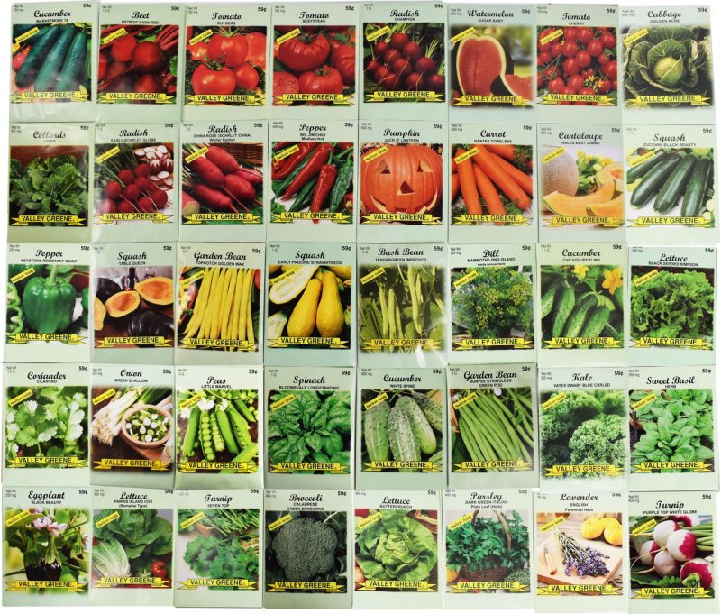 Set of 40 Heirloom Vegetable Garden Seeds - Heirloom Vegetable Garden Seeds - 100% Non-GMO! - May Be Assorted